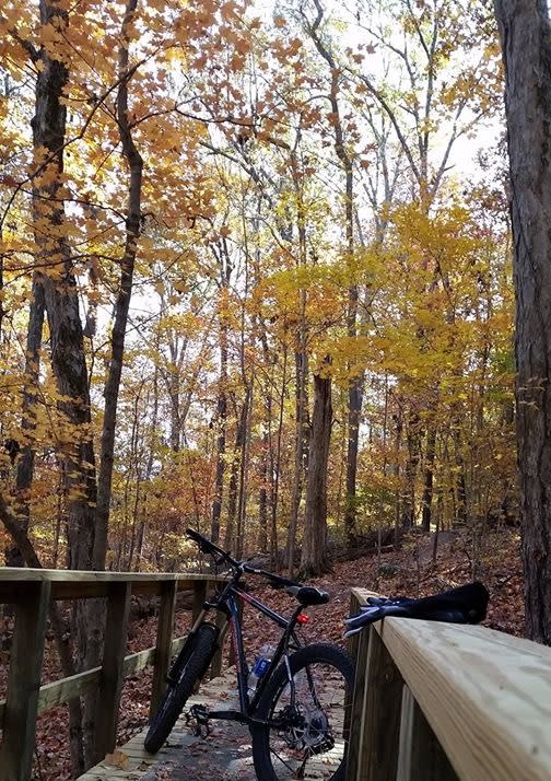 Experience the thrill of mountain biking across Huntsville's diverse landscapes.