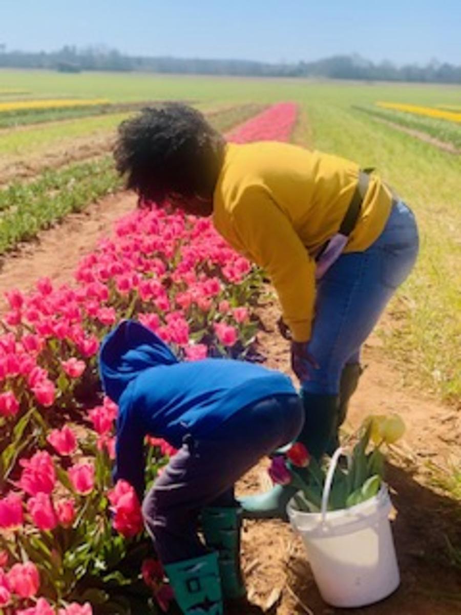 Family fun in full bloom at local U-pick farms.