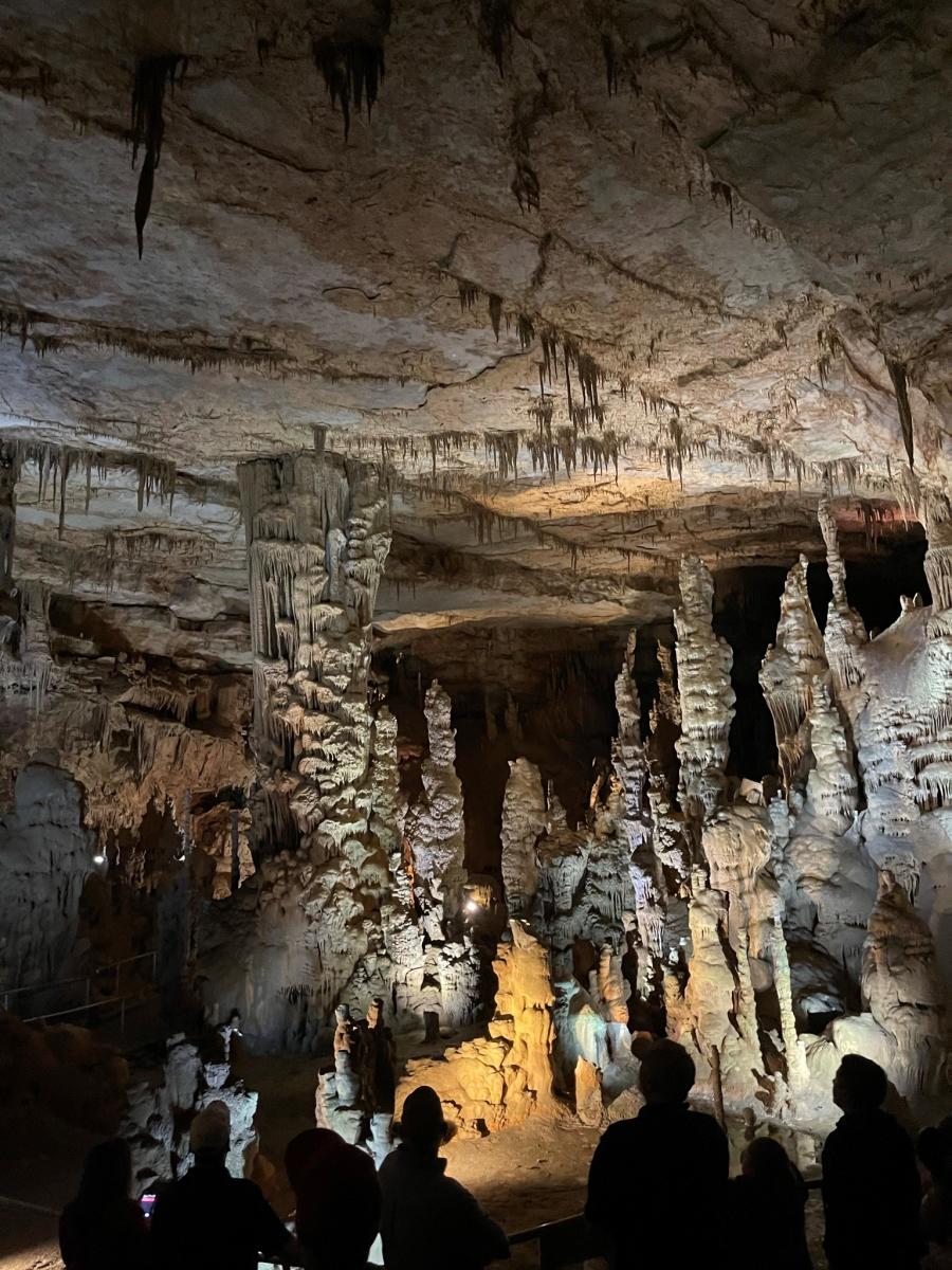 Witness the grand entrance of Cathedral Caverns State Park, an unmissable marvel just outside Huntsville, Alabama.