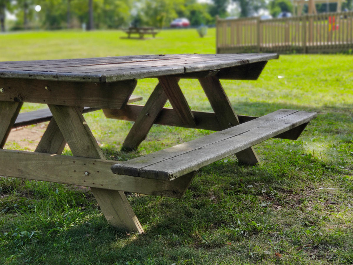 Explore a wide range of outdoor activities and ideal picnic spots in Huntsville and Madison.