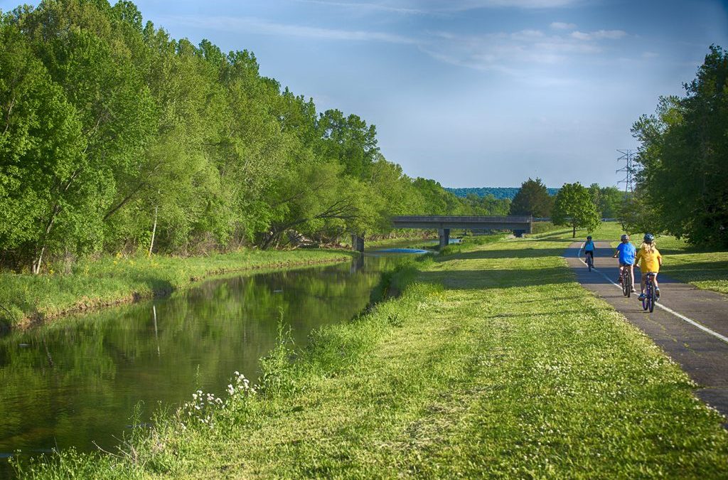 Embracing the Great Outdoors: A Guide to Madison’s Trails and Greenways