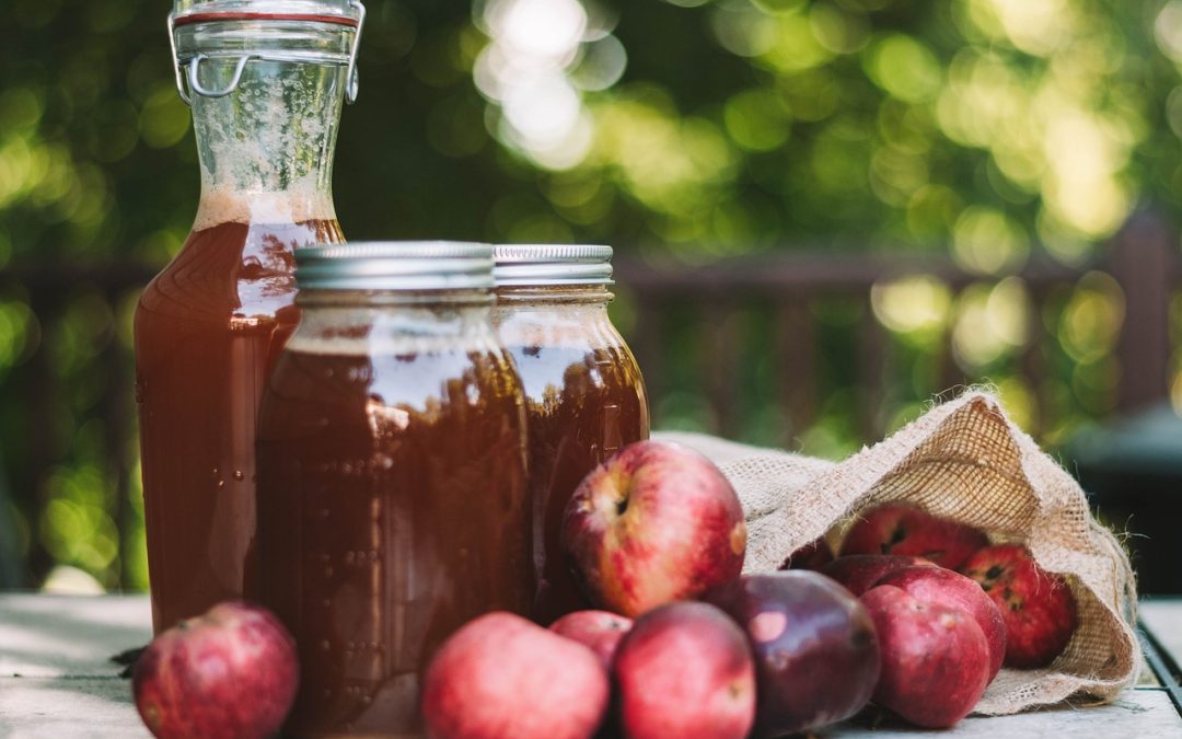 From Seed to Cider: The Rich Tradition of Scott’s Orchard