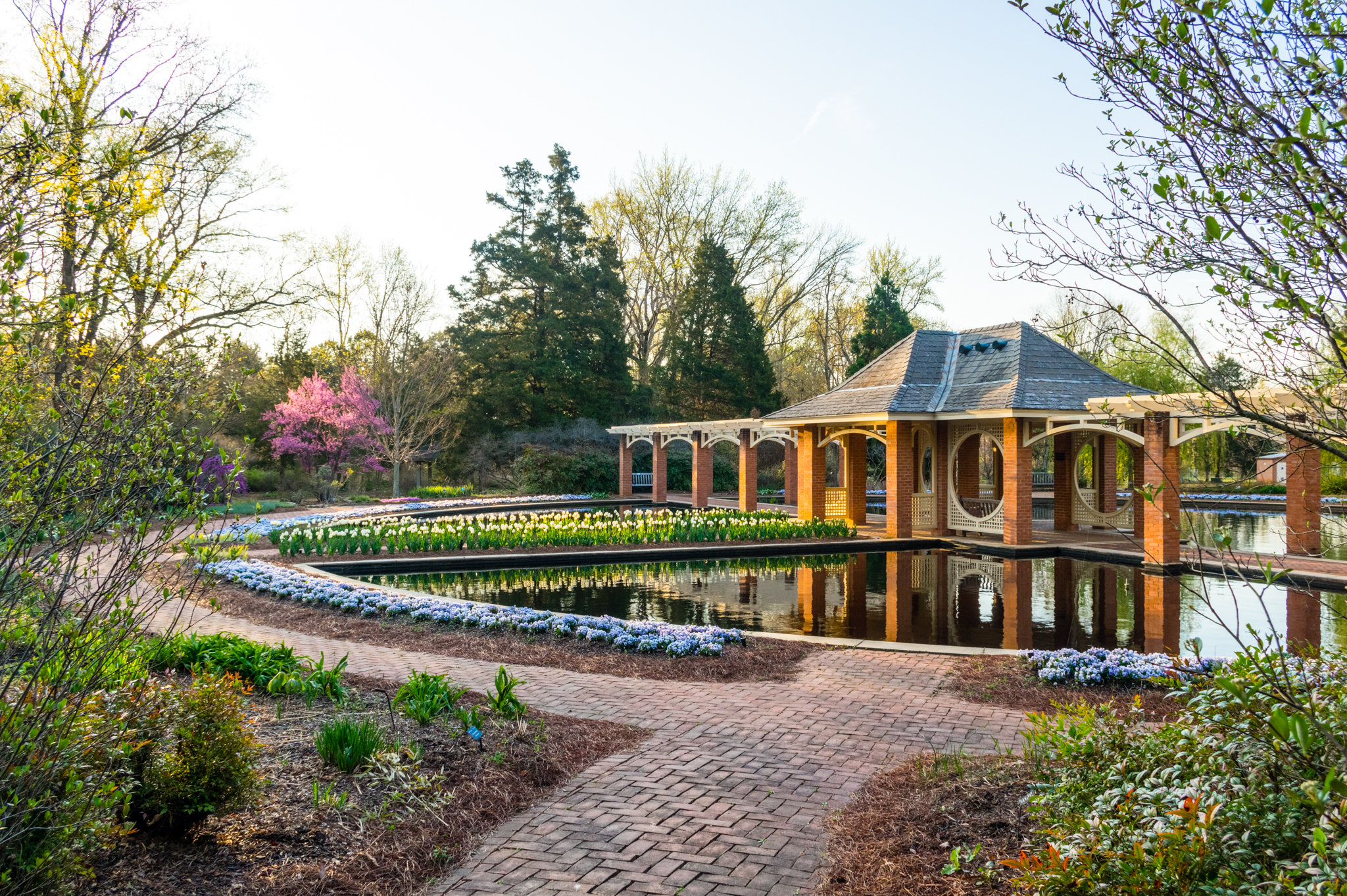 Explore the lush landscapes at the Huntsville Botanical Garden.