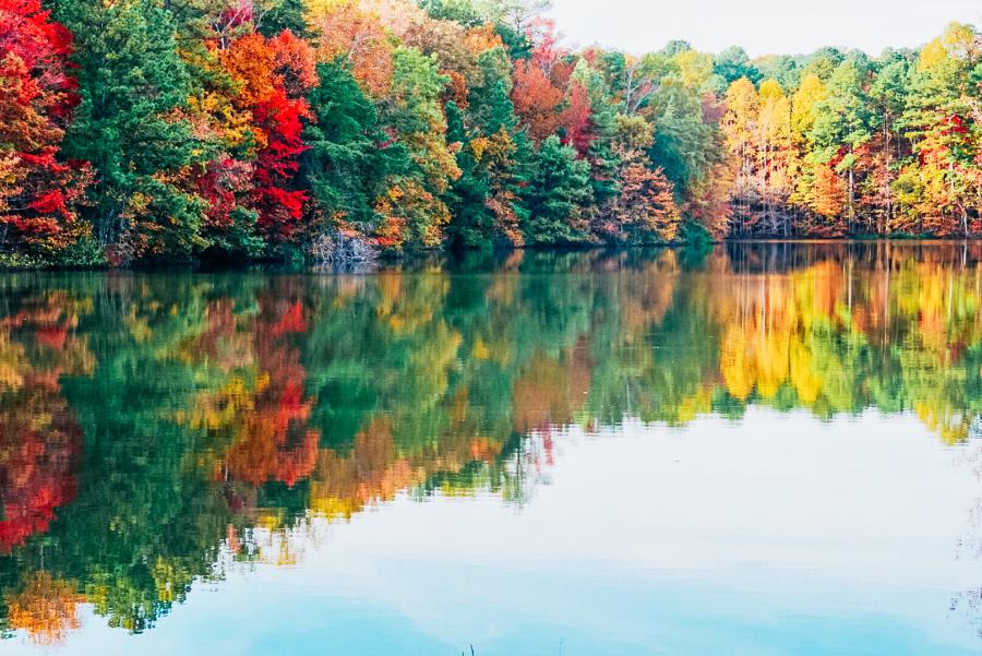 Lush autumn colors along the serene paths of Green Mountain Nature Trail.