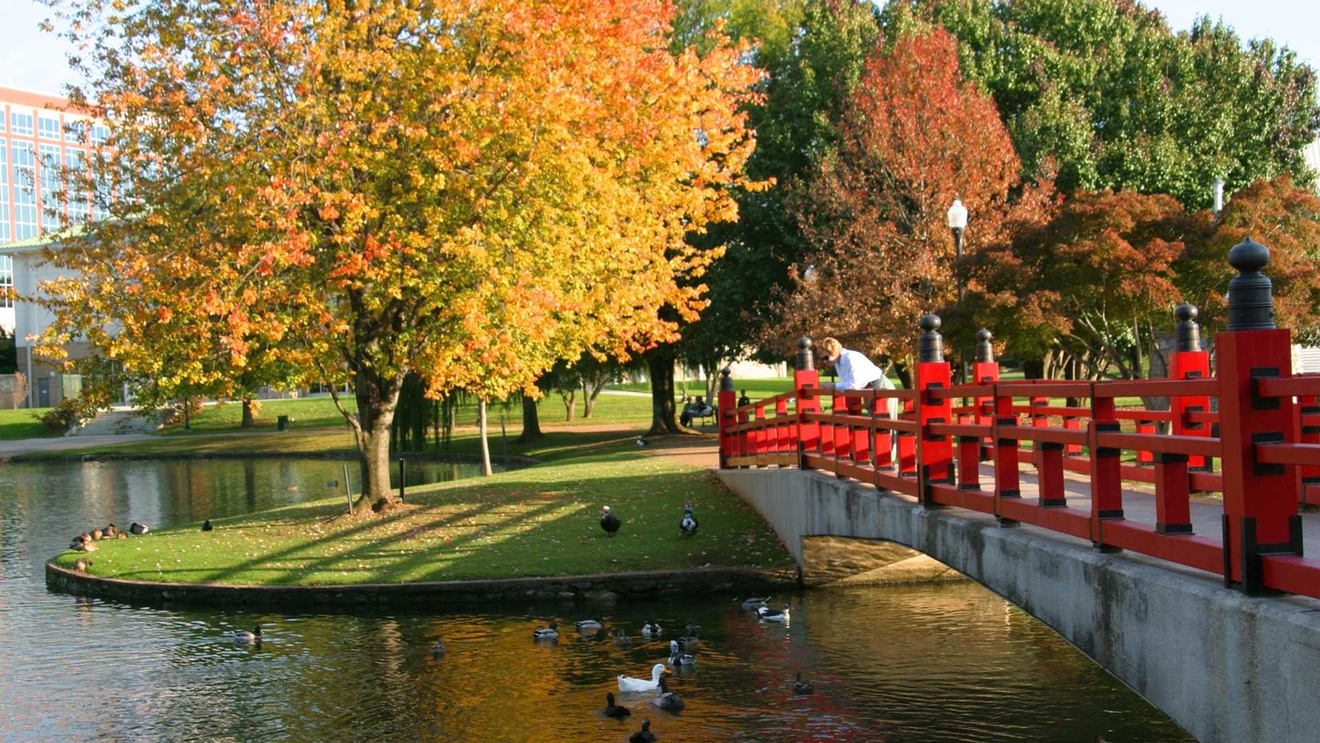 Fall events and outdoor activities around Huntsville to enjoy beyond the pumpkin patch.